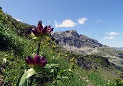 37 Poco sotto il Passo della Portula prendiamo a sx il sentierino per il Lago dei Curiosi